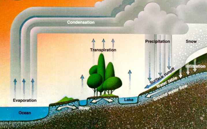 Water in the Earth System